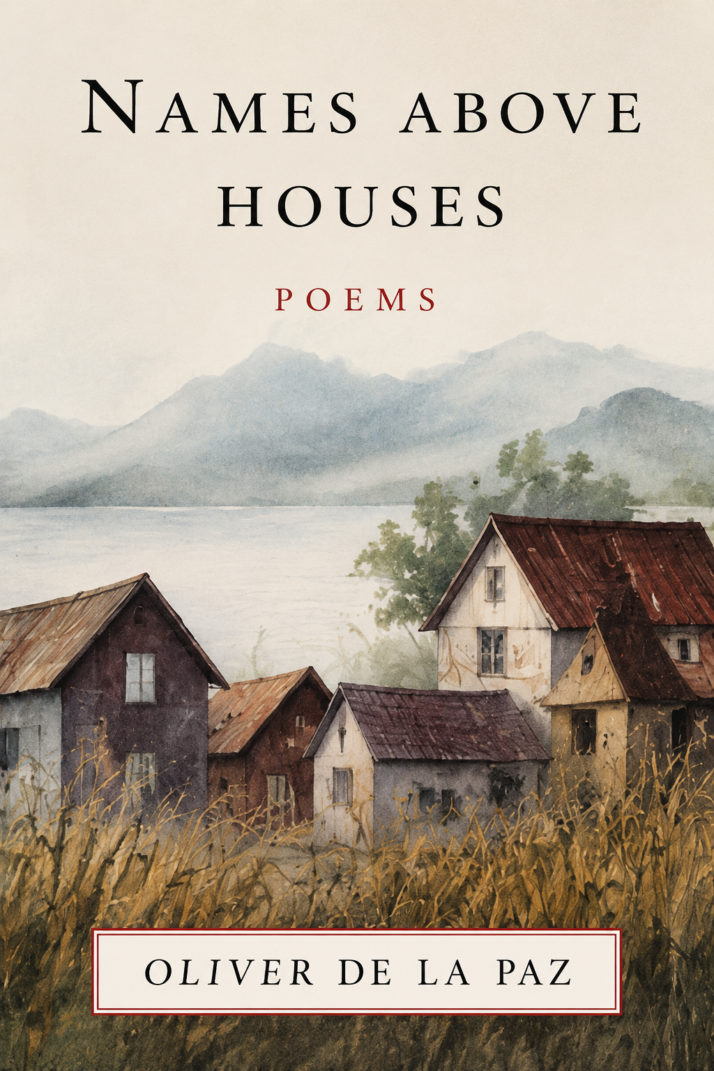 Cover of Names Above Houses